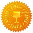 Победители районных олимпиад 2010