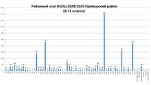 РЭ ВсОШ 24-25