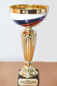 1 место в районном этапе Всероссийских соревнований по шахматам "Белая ладья" среди команд Приморского района 2017 