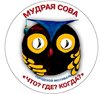Мудрая сова