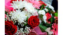 _DSC0356