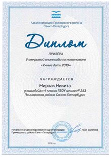 Мирзак Никита 253