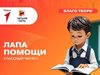 Проект "Лапа помощи"
