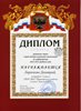2012-2013 Ларичкин-РО-информатика 