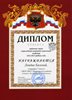 Левдик-РО-физика 2012-2013