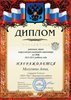 Малухина-РО-ОБЖ 2012-2013