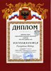 Разоренов-РО-физика 2012-2013