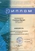 Семенова (ГО-литература) 2007-2008