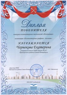 2016-2017 Чернокова Екатерина 8а (Компьюша)