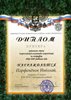 Парфененок (РО-география) 2008-2009