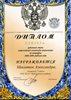 Журавлева (Микитюк) РО-география 2008-2009