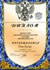 Раш (РО-география) 2008-2009