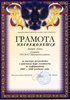 Циварев (РО-информатика) 2007-2008