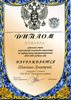 Шакшин (РО-информатика) 2008-2009