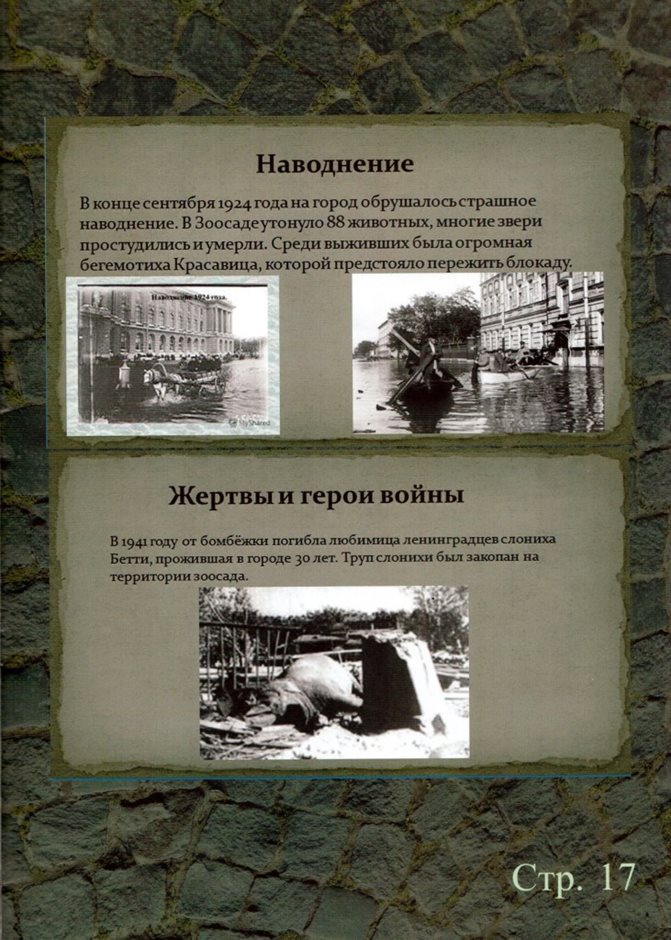 стр.17